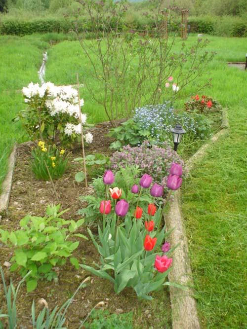 De tuin in de lente van 2006