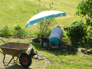 Wieden onder de parasol