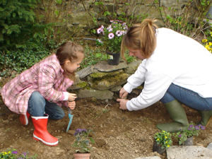 De plantjes gaan de grond in