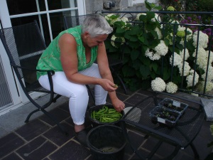 Mariette dopt tuinbonen